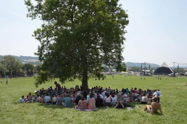 People shading from the sun under a tree during the Glastonbury Festival