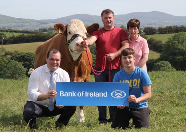 Discussing plans for the NI Simmental Club's annual stockjudging competition are Richard Primrose, Bank of Ireland, sponsor; with hosts Phyllis, Alan and Lee Wilson from Rathfriland. Picture: Julie Hazelton