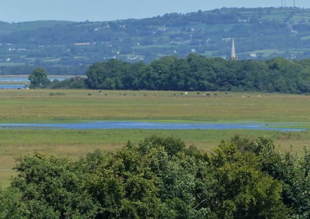 Looking from Aughrim Hill, which overlooks Lough Beg, in so-called Seamus Heaney country, Co Londonderry, near where the new  A6 dual carriageway is to be built. "We are prepared to drive a huge road through the Lough Beg flood plain," says Phil Allen