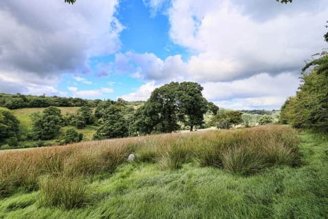 The beautiful Faughan Valley. There are plans to build an A6dual carriageway from Killaloo past Drumahoe to the A2