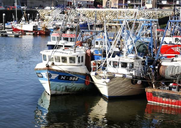 The fishing fleet in Kilkeel has dropped from 120 boats to over 60 in the past 20 years