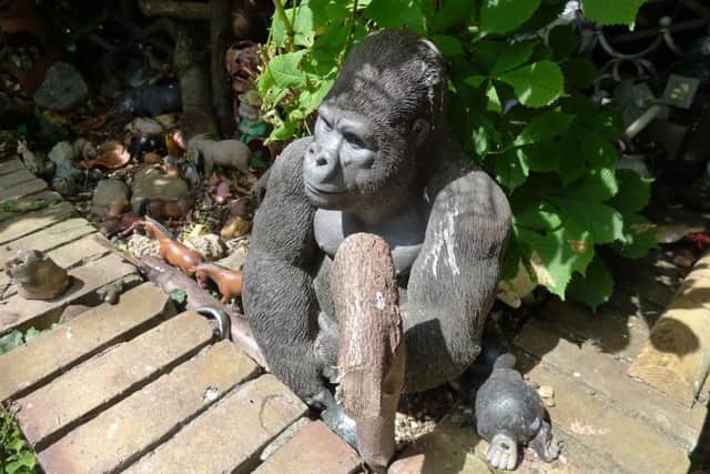 A gorilla in Bill Oddie's garden