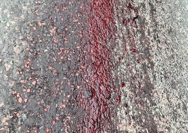 Some of the blood spilled on the Annesborough Road, Lurgan
