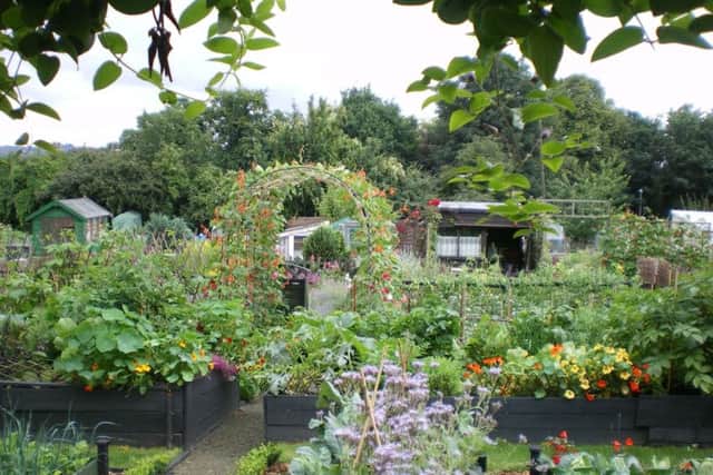 NSALG's 'Growing the Movement' theme this year is a celebration of all the hard work put in by voluntary association management committees, plot-holder volunteers and councils managing, creating, developing and safeguarding allotment sites. Picture: National Allotment Society (NSALG)