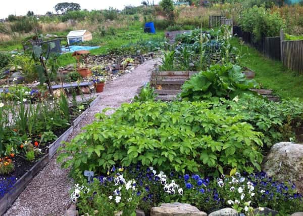 Contemporary allotments do more than provide food, the healthy lifestyle they encourage helps to combat several of the challenges facing 21st century populations ie obesity, inactivity and mental health problems resulting from social isolation. Picture: National Allotment Society (NSALG)