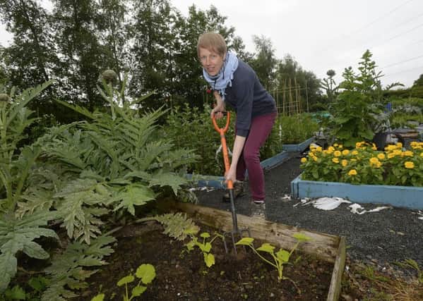 "The allotment is a place where people can work together on a peaceful, positive and productive activity and get away from it all," explains Susan Lynn. 
Picture: Arthur Allison/Pacemaker