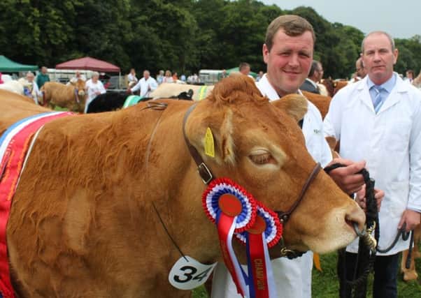 Philip Green, from Lisburn, with the beef Inter-Breed Champion at Antrim Show 2017