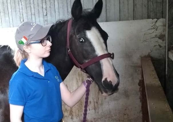 Fianna Lynn pictured on work placement at Meadowvale Equestrian Centre, Magherafelt.