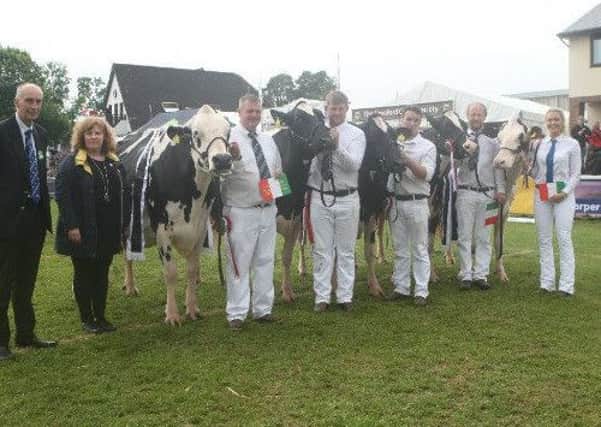 Marks and Spencers team of five, judged by Mr Charles Reader. A team of Holstein cattle owned by Mr A H Wilson and Son, D W and C E Jones Wiltor Holsteins, Mr B Davies, Mr B Yates and Son