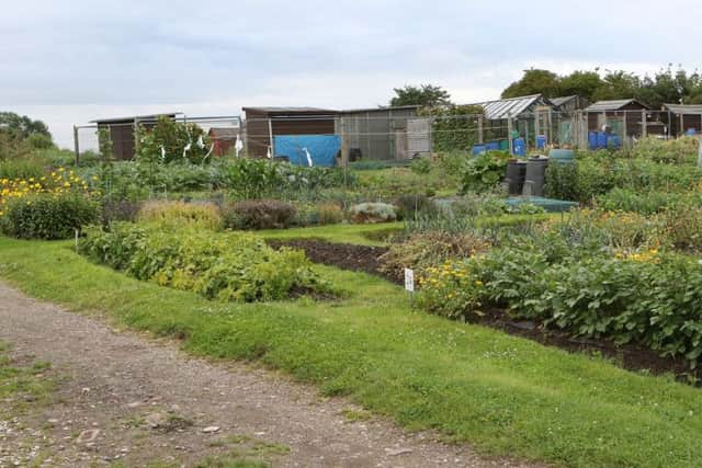 Allotments