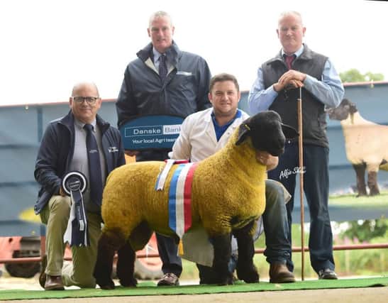 Gary Beacom's ram lamb bred by Rookery Rodeo was judged supreme champion at the NI Branch Premier Show and Sale.  It changed hands for 13,000gns to Seamus Browne, Donegal.  Included is Judge James Rooney,  Robin McIlrath, CEO Suffolk Sheep Society, and Seamus McCormick representing Danske Bank.