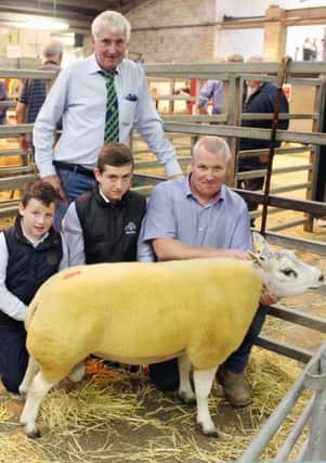 Hugh, Eddie, Eoghan and Ciaran O'Neill, Lagyveagh Flock, Glenarm with their top priced shearling ram, Lagyveagh Ben, which went under the hammer for 980gns. The O'Neill's also had the top priced female with their female champion, Lagyveagh Bambi, which sold for 820gns