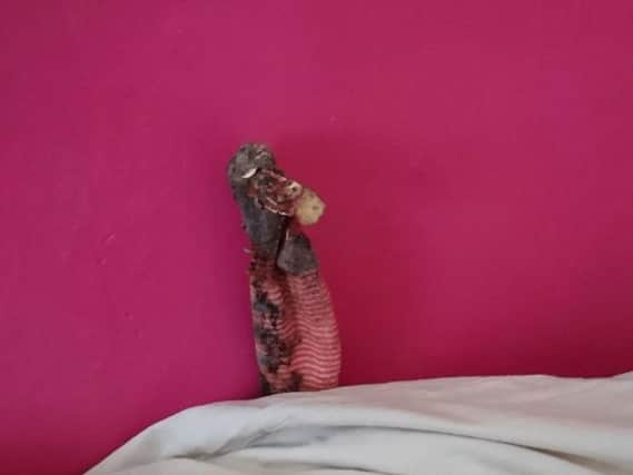 Undated handout photo issued by the RSPCA of a dirty sock they were called out to, after a family mistook it for an apparently lifeless lizard