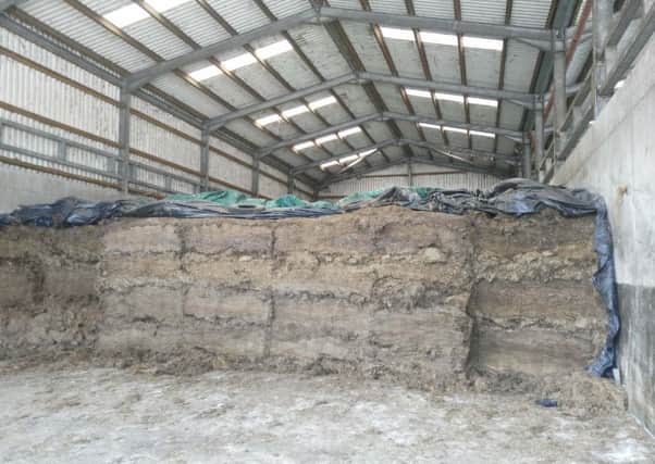 What is the quantity and quality of silage in your clamps?