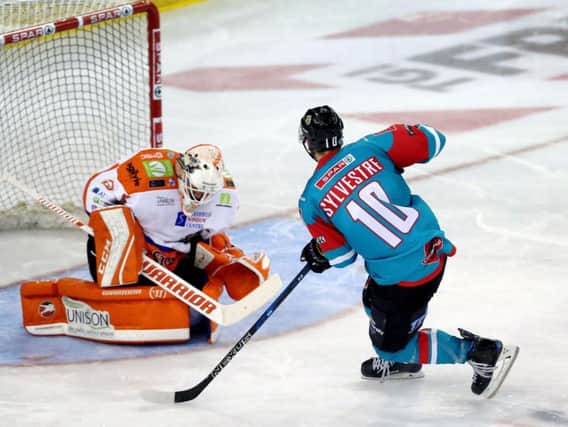 Action from Belfast Giants v Sheffield Steelers