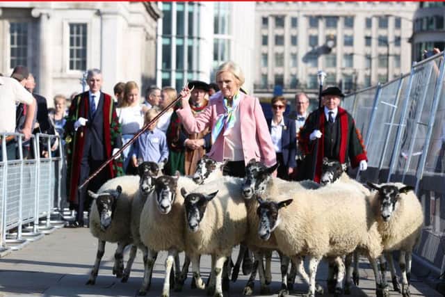 Celebrity baker Mary Berry is followed by new Freemen of the City of London, as she herds sheep over London Bridge to help open the Wool Fair