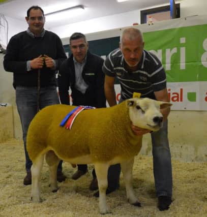 Roger Strawbridge, Tamnamoney Texels, with his Holden Agr Champion receiving his rosette from Judge James Wilkinson and Sponsor Stephen Holden, Holden Agri and Fuels Ltd, at the NI Texel Breeders Club show and sale at Lisahally.