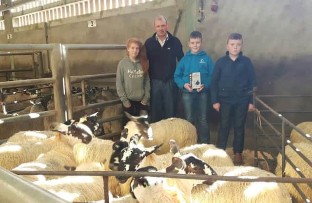 Walsh Brotherss  prize winning Pen of Mule Ewe Lambs with Brian Doyle from  sponsors Clanyre Veterinary Clinic.