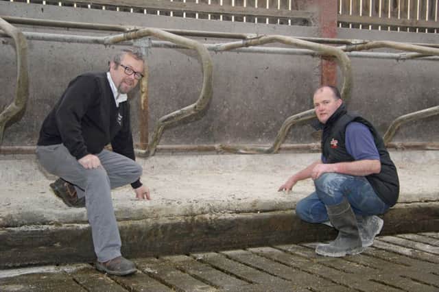 Cow comfort specialist Andrew Wilson, left, Wilson Agriculture has recently completed the installation of new cubicle mattresses at Alan Wallace's Ashdale Farm in Antrim. Wilson Agriculture is sponsoring next week's Holstein NI bull sale at Kilrea Mart.