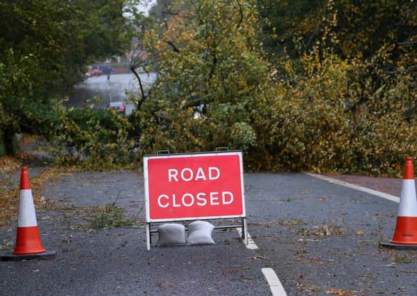 A fallen tree closes the Malone Road in Belfast as Storm Ophelia hits NI
