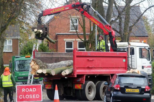 A fallen tree is cleared from a road off the Upper Newtownards Road in east Belfast as clear up begins after storm Ophelia. (Photo: Jonathan Porter/PressEye