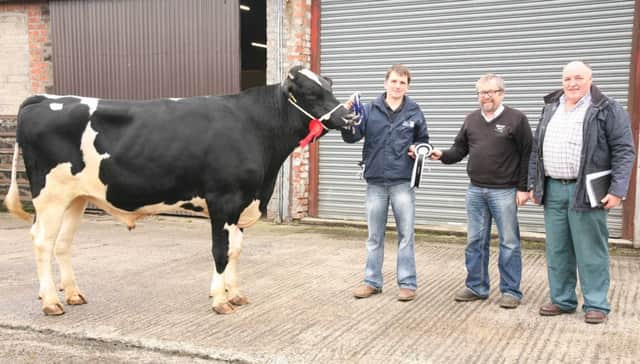 Champion at Holstein NI's Kilrea bull show and sale was Inch Peer exhibited by James Cleland, Downpatrick. Adding their congratulations are sponsor Andrew Wilson, Wilson Agriculture; and judge Gaston Wallace, Nutt's Corner. Picture: John McIlrath