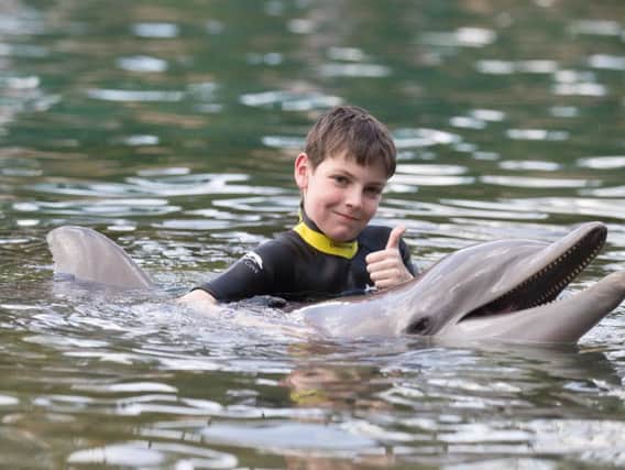 Adam Proctor, 13 , from Londonderry, swims with a dolphin during the Dreamflight visit to Discovery Cove in Orlando, Florida.