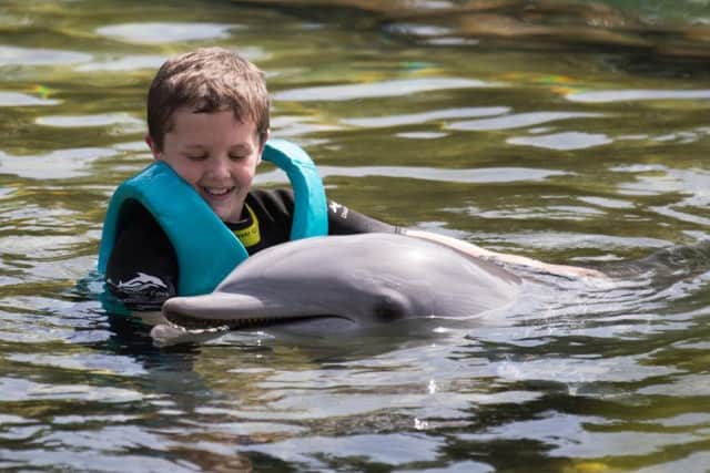 Joseph Clements, 11, From Liverpool, swims with a dolphin during the Dreamflight visit to Discovery Cove in Orlando, Florida