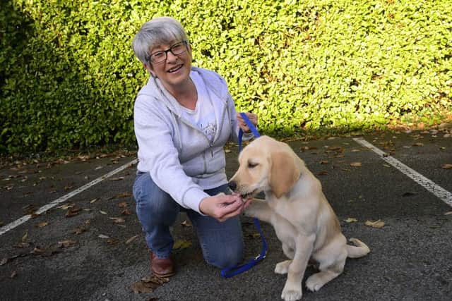 Guide dog volunteer Lorna Boyde and dog Frank. Picture by Arthur Allison / Pacemaker Press