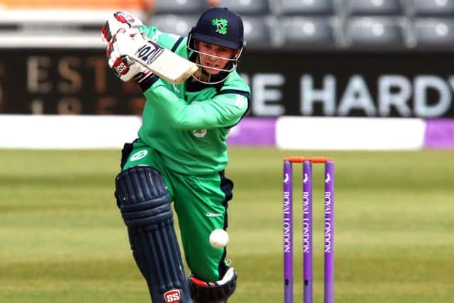Ireland captain William Porterfield is nominated for the international player of the year award